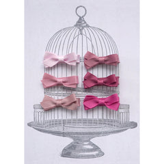 Small Clip Gift Set Pinks
