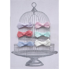 Small Clip Gift Set Pastels