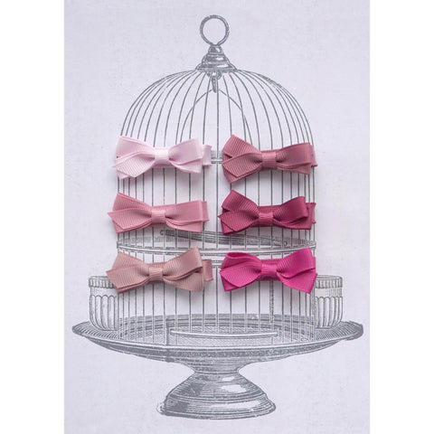Small Clip Gift Set Pinks